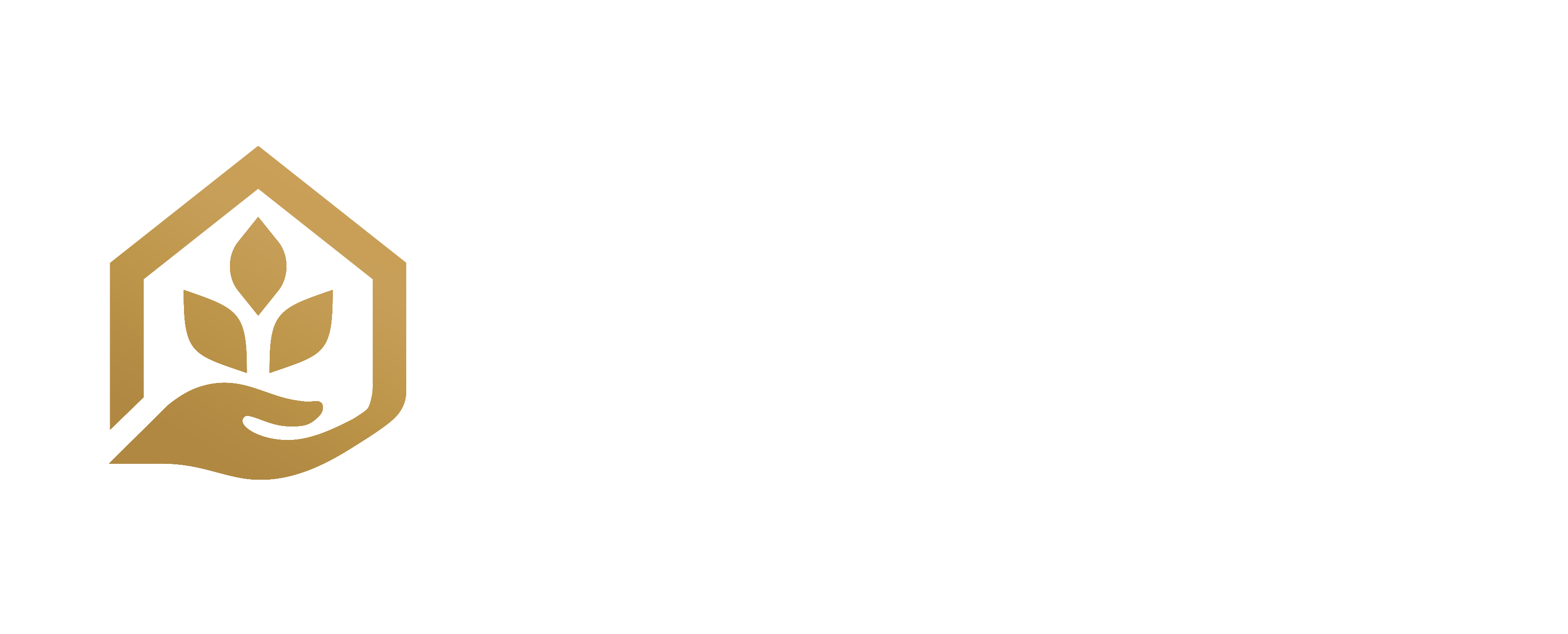 Safe Holding Iraq