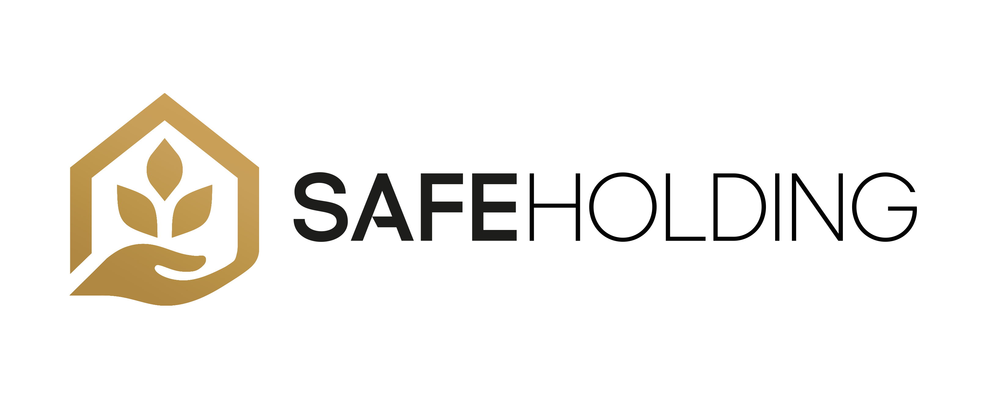 Safe Holding Iraq